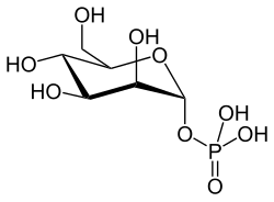 Strukturformel von Mannose-1-phosphat
