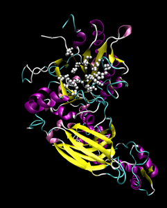 Phosphoinositid-Phospholipase C