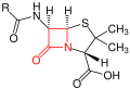 Grundstruktur der Penicilline – der β-Lactamring ist rot markiert.