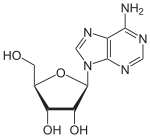 Adenosin.svg