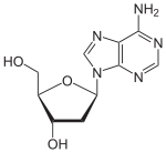 Desoxyadenosin.svg