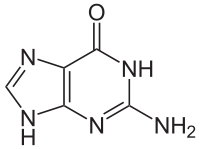 Struktur von Guanin