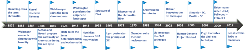 Zeitlicher Ablauf von Erforschung des Chromatins