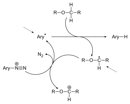 Reaktionsmechanismus der Meerwein-Reduktion. Die gestrichelten Pfeile stellen mögliche Startreaktionen dar.