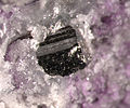 Calaverite-Fluorite-273367.jpg