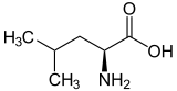 Struktur von L-Leucin