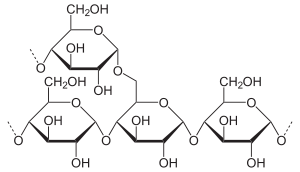 Amylopektin Haworth.svg