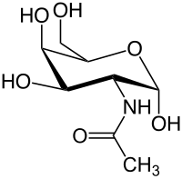 Struktur von N-Acetylgalactosamin