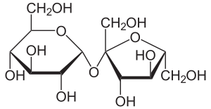 Saccharose