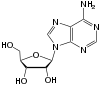 Adenosin.svg