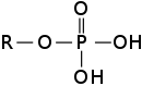 Phosphate Group