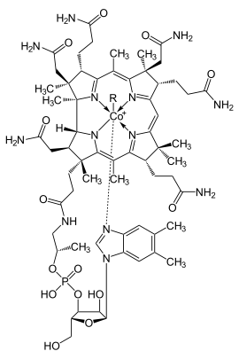 Strukturformel der Cobalamine