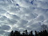 Large Stratocumulus.JPG