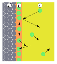 Adsorption-monolayer.svg