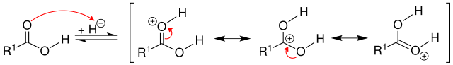 Mechanismus 1 Veresterung