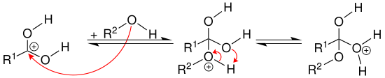 Mechanismus 2 Veresterung