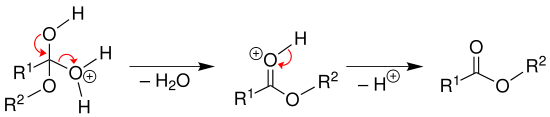 Mechanismus 3 Veresterung